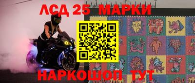 гидропоника Дубна