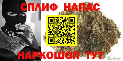 гидропоника Дубна