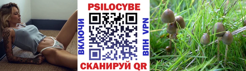 Галлюциногенные грибы Psilocybine cubensis  Сорочинск 