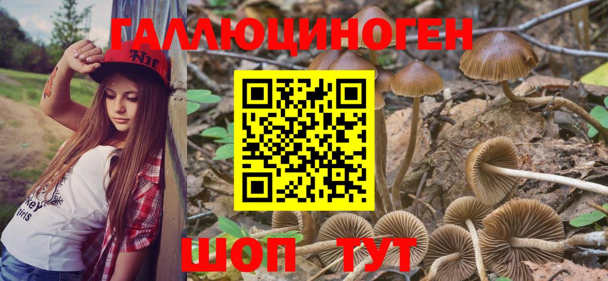 Галлюциногенные грибы мухоморы  Вход с VPN  Сорочинск 