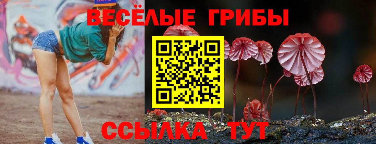 Псилоцибиновые грибы MAGIC MUSHROOMS Сорочинск